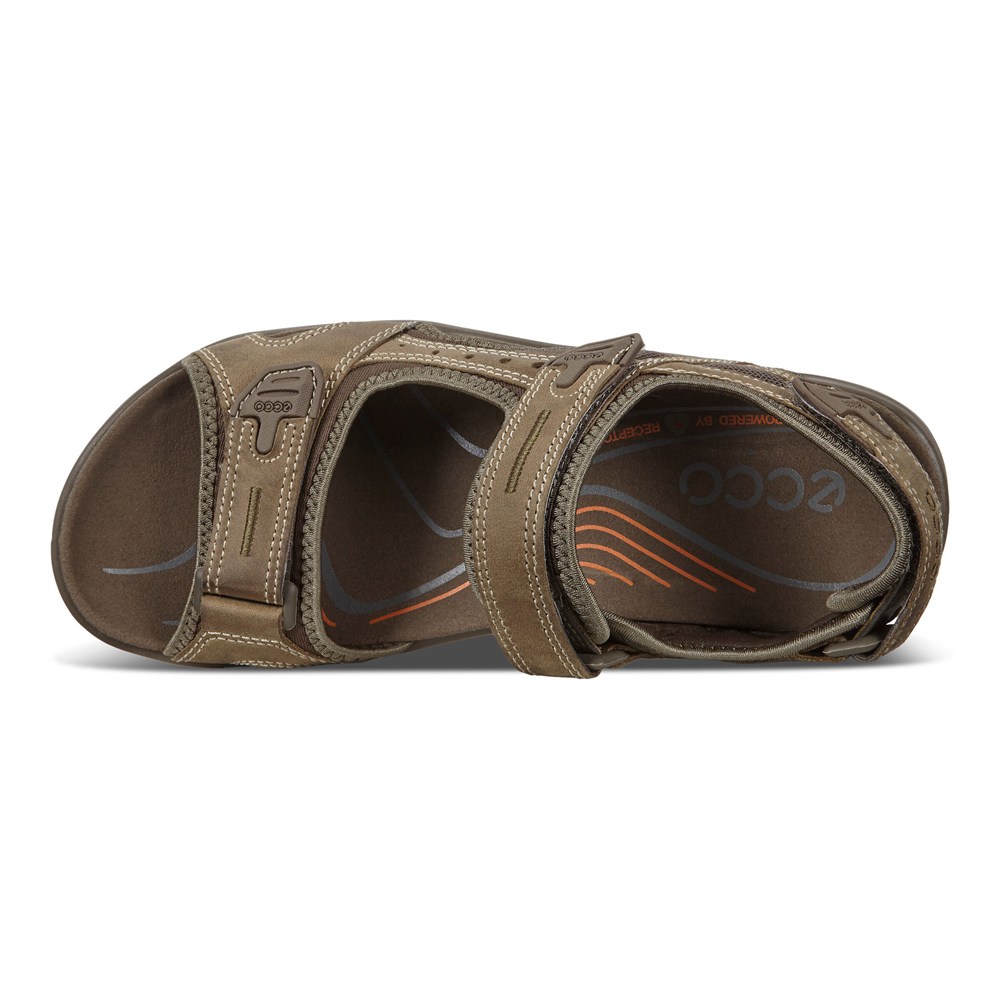 ECCO Mens Sandals Brown - Yucatan - JUI-142780